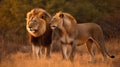 AI generated illustration of Two majestic lions standing side by side Royalty Free Stock Photo