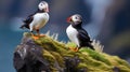 AI generated illustration of two puffins standing in close proximity on top of a rocky cliff
