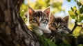 AI generated illustration of two young cats sit in a picturesque outdoor setting