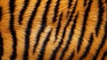AI generated illustration of a unique tiger fur patterned textile fabric