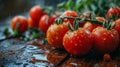 AI-generated illustration of a vibrant array of fresh tomatoes with glistening rain droplets