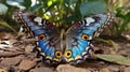 AI generated illustration of a vibrant butterfly on a cluster of shrubs in a sunny outdoor setting