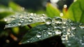 AI generated illustration of a vibrant close-up shot of dew drops on a green leaf Royalty Free Stock Photo