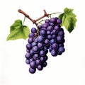 AI generated illustration of a vibrant, colorful painting of a lush branch of ripe green grapes