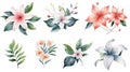 AI generated illustration of a vibrant display of an assorted selection of watercolor flowers