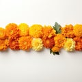 AI generated illustration of a vibrant display of orange flowers on a white background