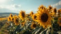 AI-generated illustration of a vibrant field of yellow sunflowers Royalty Free Stock Photo