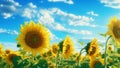 AI generated illustration of a vibrant field of yellow sunflowers basking in the warm sunlight Royalty Free Stock Photo