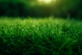 AI generated illustration of vibrant green grass with glistening water droplets Royalty Free Stock Photo