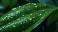 AI generated illustration of a vibrant green leaf covered in water droplets in a lush garden Royalty Free Stock Photo