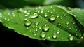 AI generated illustration of A vibrant green leaf with glistening water droplets Royalty Free Stock Photo