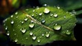 AI generated illustration of A vibrant, green leaf with a series of water droplets