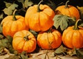 AI generated illustration of a vibrant harvest season scene featuring a collection of pumpkins