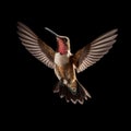 AI generated illustration of a vibrant hummingbird in midair against a black background