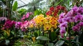 AI-generated illustration of vibrant orchids in a greenhouse Royalty Free Stock Photo