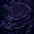 AI generated illustration of a vibrant purple rose flower Royalty Free Stock Photo