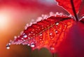 AI generated illustration of A vibrant leaf with droplets of fresh water glistening on its surface Royalty Free Stock Photo