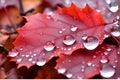 AI generated illustration of a vibrant red maple leaf lying on the ground with a few drops of water Royalty Free Stock Photo