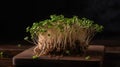 AI generated illustration of a vibrant and thriving pile of garden cress on a wooden cutting board