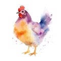 AI generated illustration of a vibrant watercolor painting of a chicken on a white background