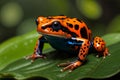 AI generated illustration of a vivid orange frog on a lush green leaf Royalty Free Stock Photo