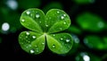 AI-generated illustration of water droplets on a clover leaf in a natural setting Royalty Free Stock Photo