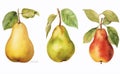 AI generated illustration of a watercolor of ripe pears isolated against a white background Royalty Free Stock Photo