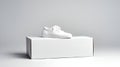 AI generated illustration of A white canvas sneaker placed atop a rectangular cardboard box