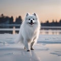 AI generated illustration of a white dog running on snowy lake
