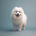 AI generated illustration of a white fluffy American Eskimo Dog smiling