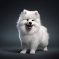 AI generated illustration of a white fluffy American Eskimo Dog smiling