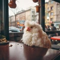 AI generated illustration of a white fluffy rooster on a cafe table