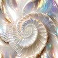 AI generated illustration of a white iridescent shell with a spiral pattern Royalty Free Stock Photo