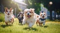 AI generated illustration of white puppies playing and running in the lush green grass of a backyard