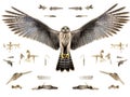 Ai Generated illustration Wildlife Concept of Accipiter Nisus Skeleton Royalty Free Stock Photo