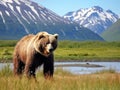 Ai Generated illustration Wildlife Concept of Alaska Brown Grizzly Bear Grazing in Katmai