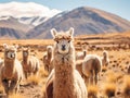Ai Generated illustration Wildlife Concept of Alpacas Peru