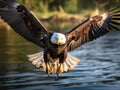 Ai Generated illustration Wildlife Concept of American Bald Eagle Royalty Free Stock Photo