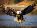 Ai Generated illustration Wildlife Concept of American Bald Eagle Royalty Free Stock Photo