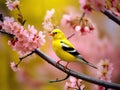 Ai Generated illustration Wildlife Concept of American Goldfinch in Spring Season Royalty Free Stock Photo