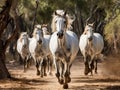 Ai Generated illustration Wildlife Concept of Andalusian Wild-horses Royalty Free Stock Photo