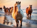 Ai Generated illustration Wildlife Concept of Assateague Wild Ponies on the Beach Royalty Free Stock Photo