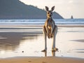 Ai Generated illustration Wildlife Concept of Australian eastern grey kangaroo mackay queensland