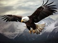 Ai Generated illustration Wildlife Concept of Bald eagle flying Royalty Free Stock Photo