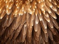 Ai Generated illustration Wildlife Concept of Bald Eagle Wing Feathers Background Royalty Free Stock Photo