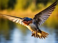 Ai Generated illustration Wildlife Concept of Barn swallow (Hirundo rustica)