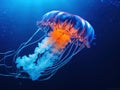 Ai Generated illustration Wildlife Concept of Beautiful Jelly Fish Royalty Free Stock Photo