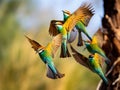 Ai Generated illustration Wildlife Concept of Bee-Eaters - Okavango Delta - Botswana Royalty Free Stock Photo