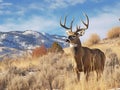 Ai Generated illustration Wildlife Concept of Big mule deer buck in rut Royalty Free Stock Photo