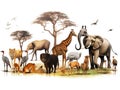 Ai Generated illustration Wildlife Concept of Birds mammal and other animals of Africa isolated Royalty Free Stock Photo